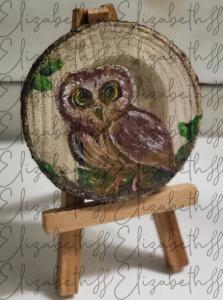 baby owl on wood
